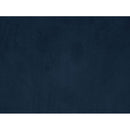 Acme Furniture Ansario 56456 Loveseat - Blue IMAGE 4