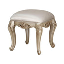 Acme Furniture Gorsedd 90743 Vanity Stool IMAGE 1
