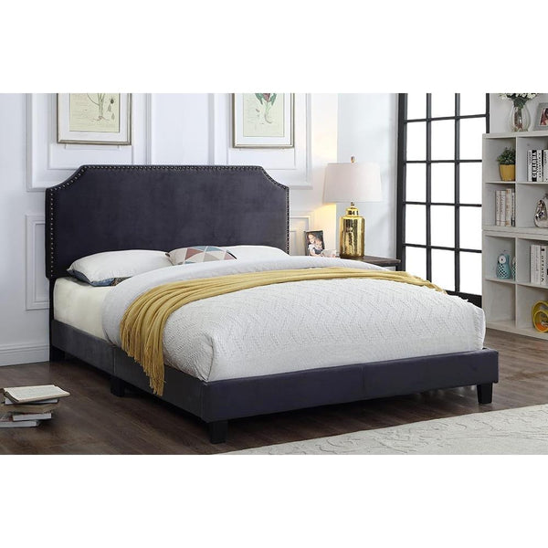 Titus Furniture T2116 Twin Upholstered Platform Bed T2116C-S IMAGE 1