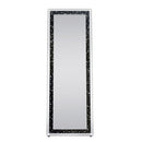Acme Furniture Noor 97158 Accent Mirror IMAGE 2