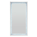 Acme Furniture Noralie 97600 Floor Mirror IMAGE 3