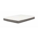 Primo International Livv Tight Top Mattress (Queen) IMAGE 1