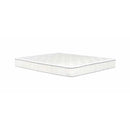 Primo International Saturn 7.8" Mattress (Twin) IMAGE 1