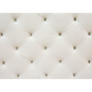Acme Furniture Qokmis LV00391 Sectional Sofa - Beige IMAGE 5