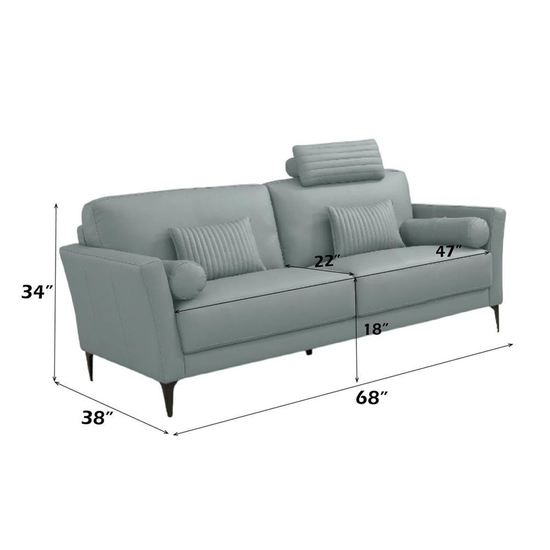 Acme Furniture Tussio LV00947 Loveseat with 5 Pillows IMAGE 3