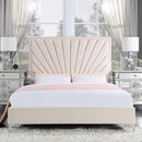 Acme Furniture Faiz BD00957Q Eastern Queen Bed IMAGE 1