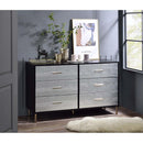 Acme Furniture Myles AC00961 Dresser - Black & Silver IMAGE 1