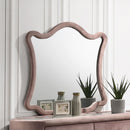 Acme Furniture Salonia BD01185 Mirror IMAGE 1