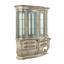 Acme Furniture Danae DN01200 Curio IMAGE 1