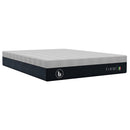  Blu Sleep Products Firm Mattress Set (Queen) IMAGE 1