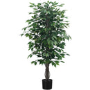 Monarch I 9564 Indoor Ficus Tree IMAGE 1