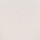  Zuo Essen 109808 Barstool - Ivory IMAGE 7