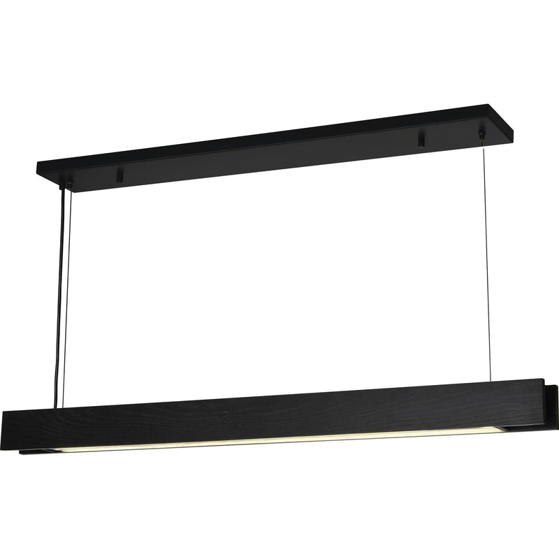  Renwil Taya LPC4412 Pendant IMAGE 3