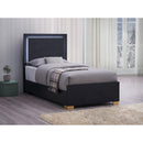  Coaster Furniture Marceline 222831T Wood Twin LED Panel Bed - Black IMAGE 2