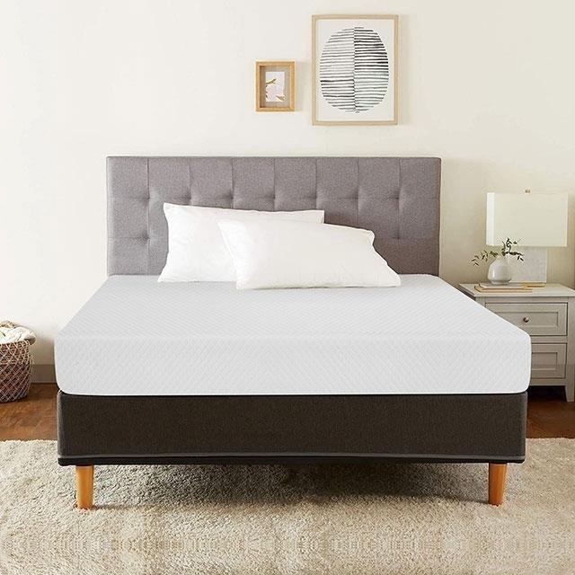 Furniture of America Coreopsis DM520-Q 8" Queen Memory Foam Mattress IMAGE 9