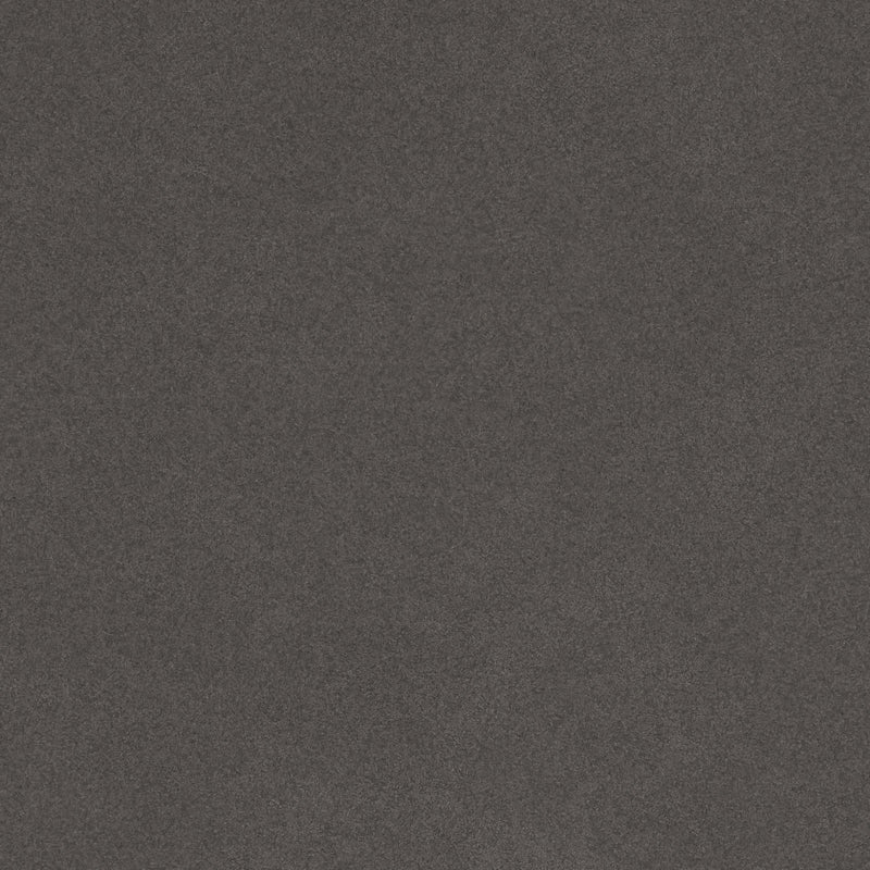  Zuo Coral Reef 704025 Accent Chair - Grey IMAGE 7
