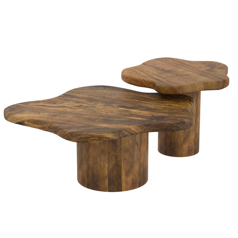 !nspire Mayal 303-149WAL 2pc Coffee Table Set - Walnut IMAGE 1