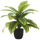  Monarch I 9573 Artificial Plant Indoor Dracaena IMAGE 1