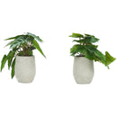  Monarch I 9582 Artificial Plants Indoor 2pcs Alocasia IMAGE 1