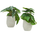  Monarch I 9582 Artificial Plants Indoor 2pcs Alocasia IMAGE 3