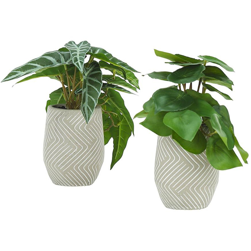  Monarch I 9582 Artificial Plants Indoor 2pcs Alocasia IMAGE 3
