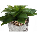  Monarch I 9586 Artificial Plants Indoor 2pcs Succulent IMAGE 4