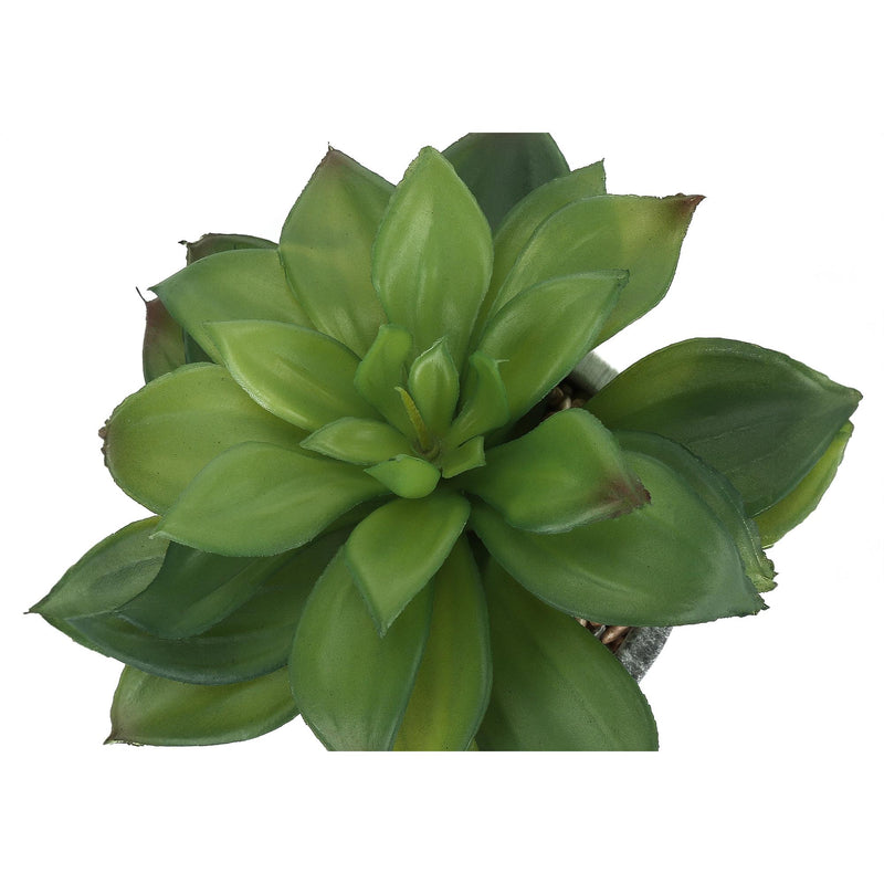  Monarch I 9586 Artificial Plants Indoor 2pcs Succulent IMAGE 5