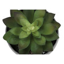  Monarch I 9587 Artificial Plants Indoor 3pcs Succulent IMAGE 5