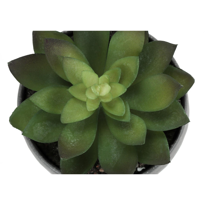  Monarch I 9587 Artificial Plants Indoor 3pcs Succulent IMAGE 5