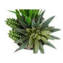  Monarch I 9588 Artificial Plants Indoor 2pcs Succulent IMAGE 4