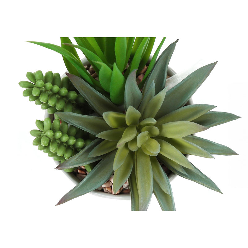  Monarch I 9588 Artificial Plants Indoor 2pcs Succulent IMAGE 4