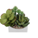  Monarch I 9588 Artificial Plants Indoor 2pcs Succulent IMAGE 5