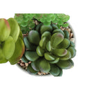  Monarch I 9588 Artificial Plants Indoor 2pcs Succulent IMAGE 6