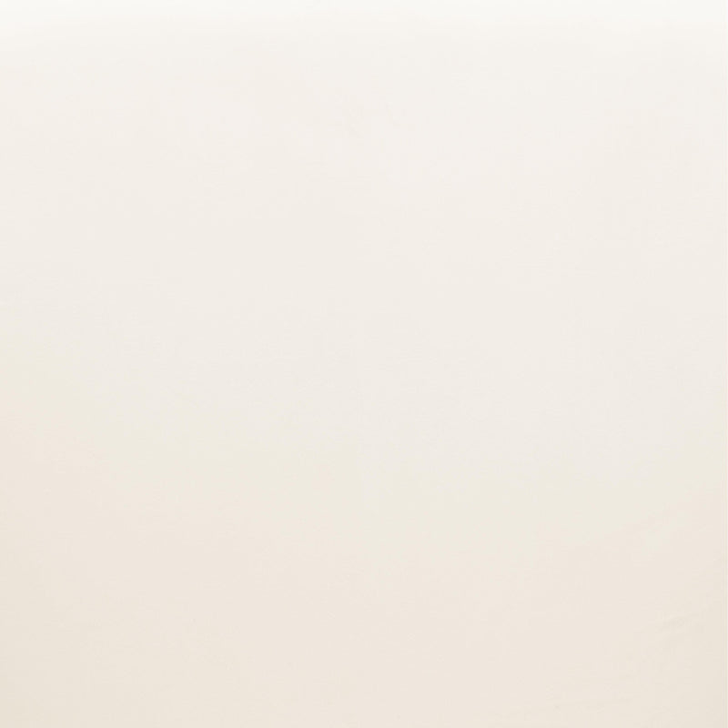  Zuo Jolie 110157 Dining Chair - Ivory IMAGE 7