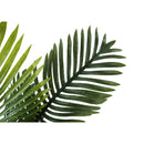  Monarch I 9503 24"H - Indoor Palm/8" Woven Basket IMAGE 4