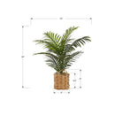  Monarch I 9503 24"H - Indoor Palm/8" Woven Basket IMAGE 6