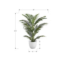  Monarch I 9508 28"H - Indoor Palm In A 6" Pot IMAGE 6