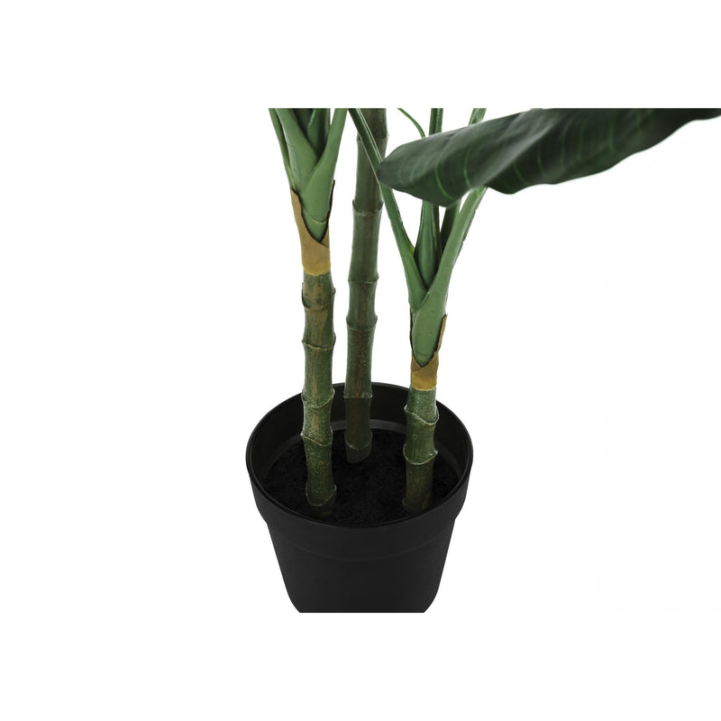  Monarch I 9512 42"H - Indoor Evergreen In A 5" Pot IMAGE 3