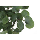  Monarch I 9518 46"H - Indoor Eucalyptus Tree/ 5" Pot IMAGE 4