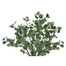  Monarch I 9518 46"H - Indoor Eucalyptus Tree/ 5" Pot IMAGE 5