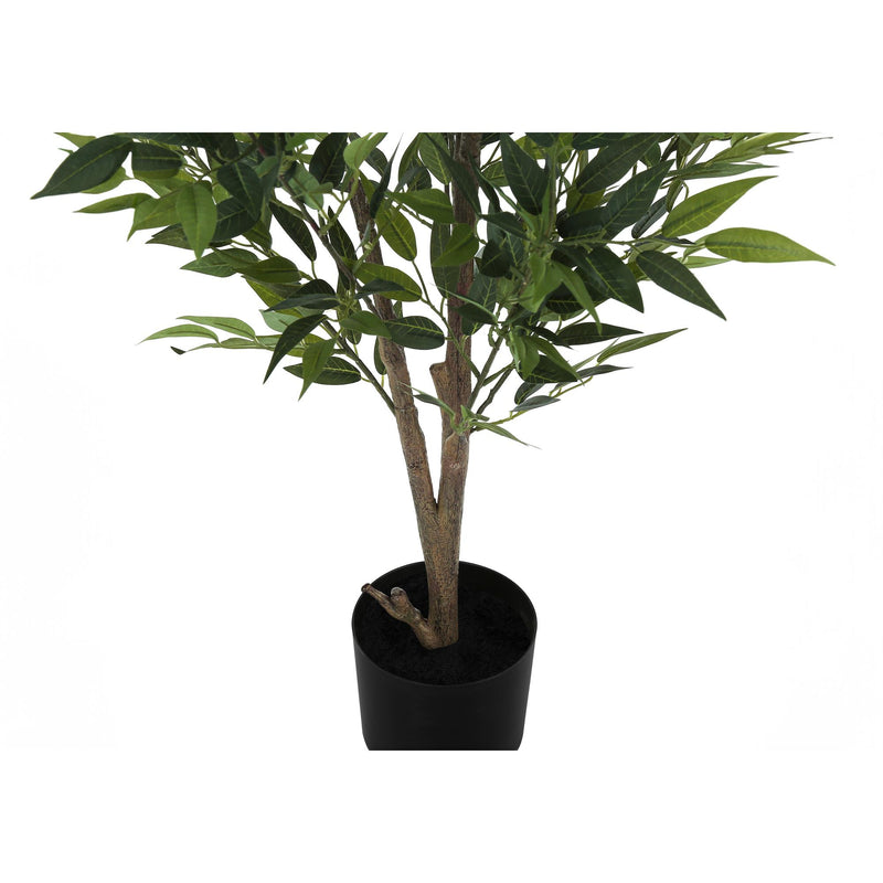  Monarch I 9520 47"H - Indoor Acacia Tree In A 5" Pot IMAGE 3