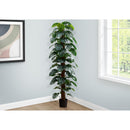  Monarch I 9521 83"H - Indoor Monstera Tree/8" Pot IMAGE 1
