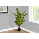  Monarch I 9535 47"H - Indoor Evergreen In A 5" Pot IMAGE 1