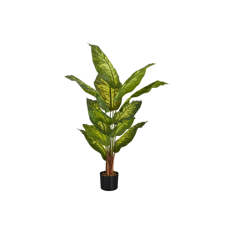  Monarch I 9535 47"H - Indoor Evergreen In A 5" Pot IMAGE 2