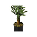  Monarch I 9537 47"H - Indoor Palm Tree In A 5" Pot IMAGE 3