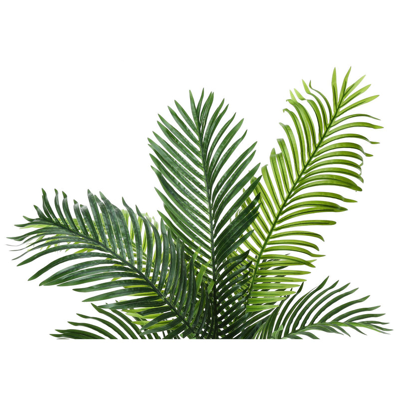  Monarch I 9537 47"H - Indoor Palm Tree In A 5" Pot IMAGE 5