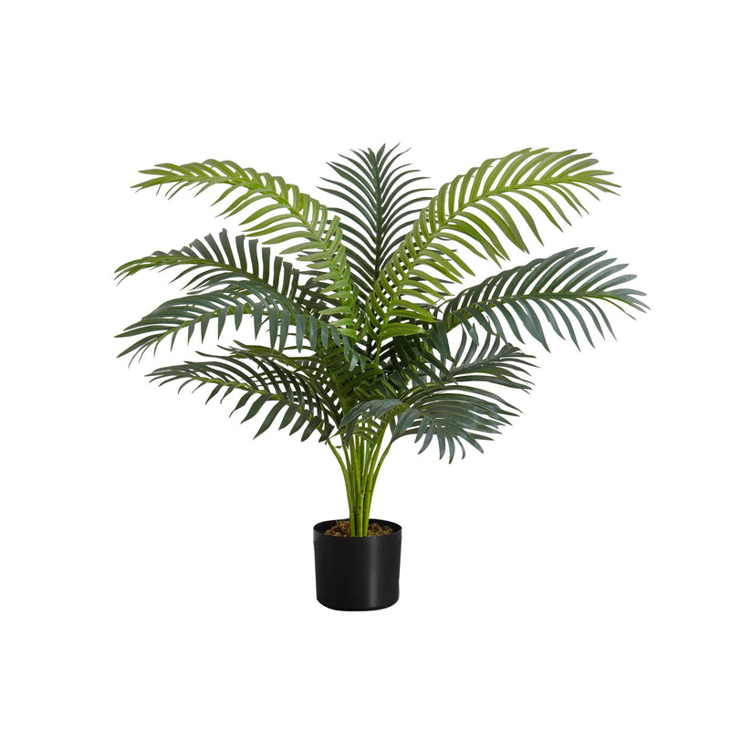  Monarch I 9539 34"H - Indoor Palm Tree In A 5" Pot IMAGE 2