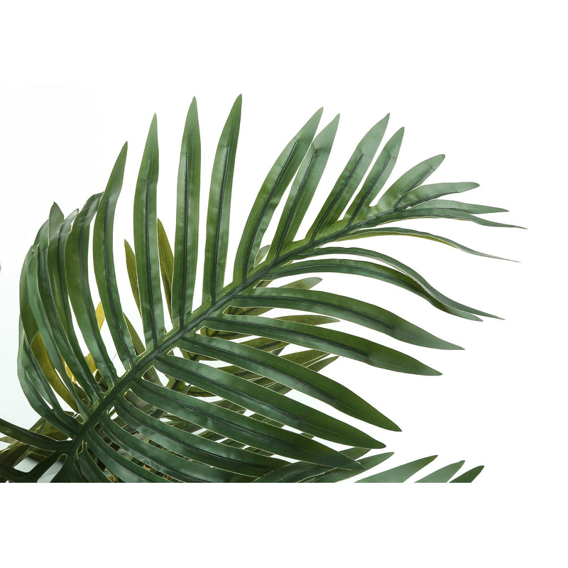  Monarch I 9539 34"H - Indoor Palm Tree In A 5" Pot IMAGE 4