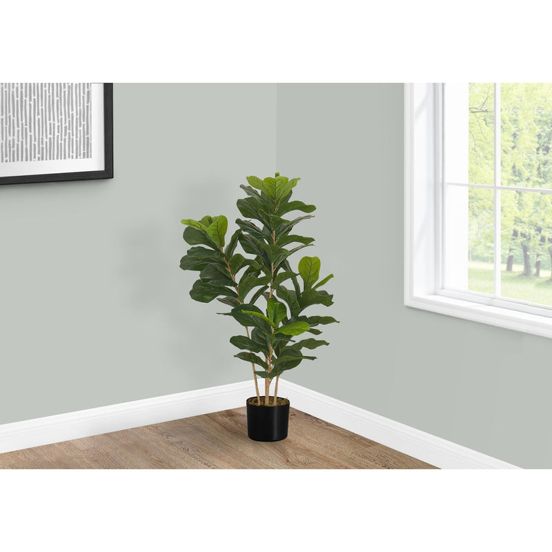  Monarch I 9540 41"H - Indoor Fiddle Tree In A 5" Pot IMAGE 1