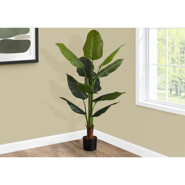  Monarch I 9545 59"H - Indoor Strelitzia In A 5" Pot IMAGE 1